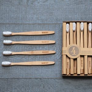 'Guest' Year's Supply Toothbrushes Set Of Four