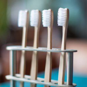 'Months' Year's Supply Bamboo Toothbrushes