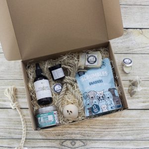 'The Health And Wellness Box' Dog Gift Set