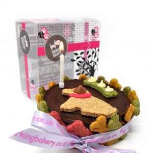 'Give The Dog A Bone' Cake For Dogs